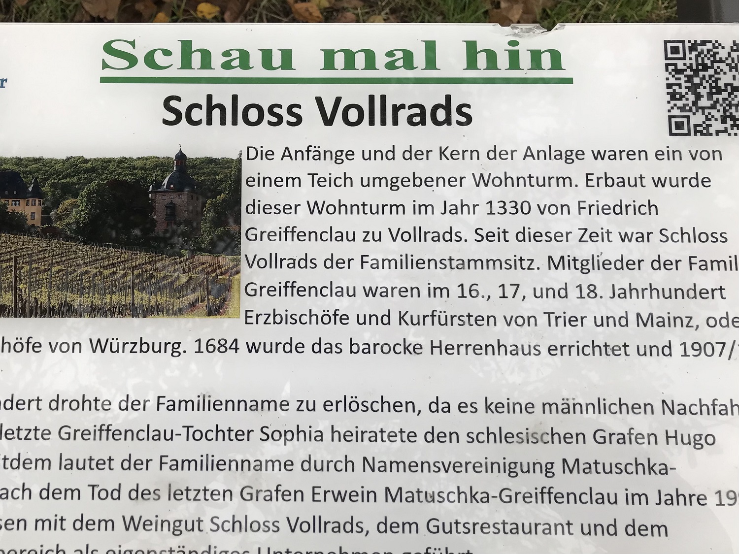 IMG_3174.jpg